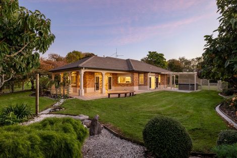 Photo of property in 16 Elder Lane, Bethlehem, Tauranga, 3110