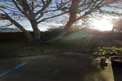 Photo of property in 391a Peachgrove Road, Fairfield, Hamilton, 3214