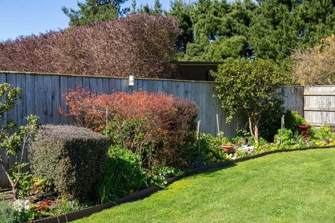 Photo of property in 32 Andrew Street, Kuripuni, Masterton, 5810