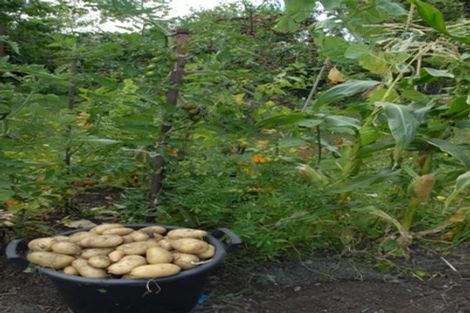 Photo of property in 15 Miriam Street, Masterton, 5810