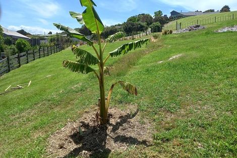 Photo of property in 248b Wharau Road, Kerikeri, 0293