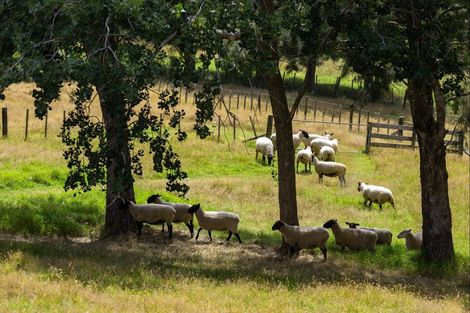 Photo of property in 628 Horseshoe Bush Road, Waitoki, Albany, 0794