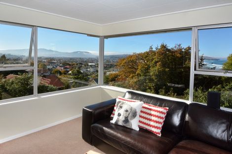 Photo of property in 99 Bedford Street, Saint Clair, Dunedin, 9012