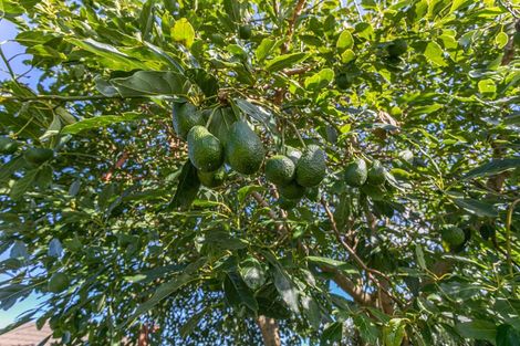 Photo of property in 37 Cook Drive, Whitianga, 3510