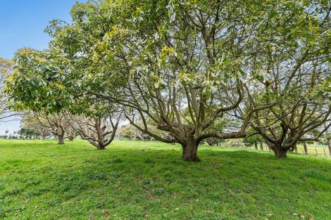 Photo of property in 14 Arthur Road, Paraite, New Plymouth, 4373
