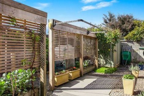 Photo of property in 55a Henderson Street, Whakatane, 3120