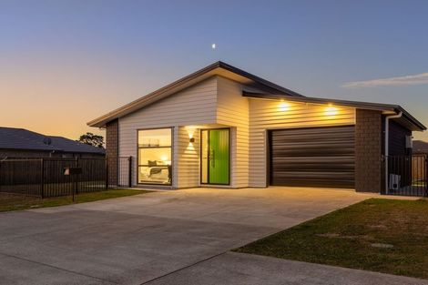 Photo of property in 104 Hinemoa Street, Levin, 5510