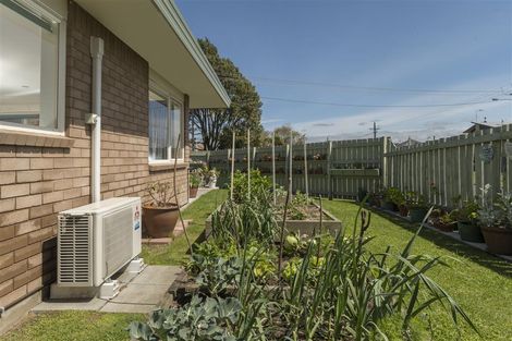 Photo of property in 1 Yatton Street, Greerton, Tauranga, 3112