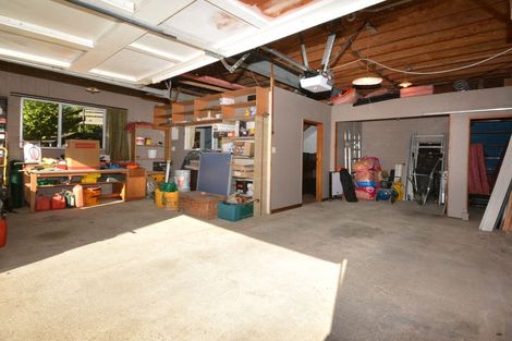 Photo of property in 99 Bedford Street, Saint Clair, Dunedin, 9012