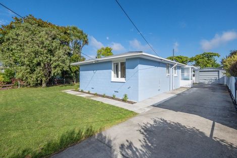 Photo of property in 233 Lumsden Place, Akina, Hastings, 4122