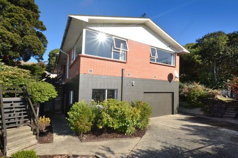 Photo of property in 99 Bedford Street, Saint Clair, Dunedin, 9012