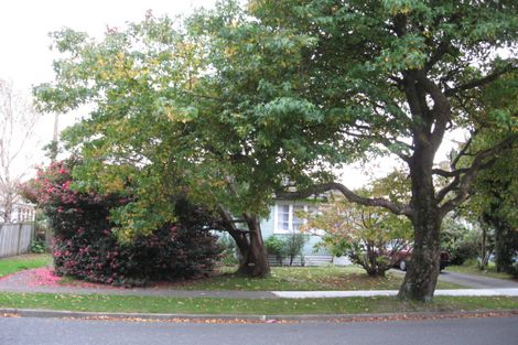 Photo of property in 29 Chapman Crescent, Naenae, Lower Hutt, 5011