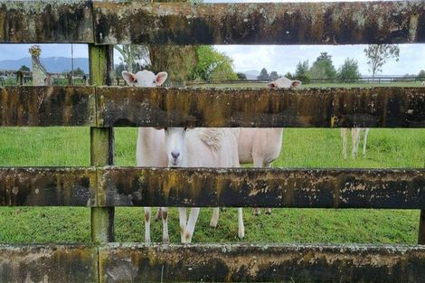 Photo of property in 125 Waiare Road, Okaihau, 0475