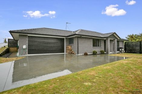 Photo of property in 24 Cambridge Street, Putaruru, 3411