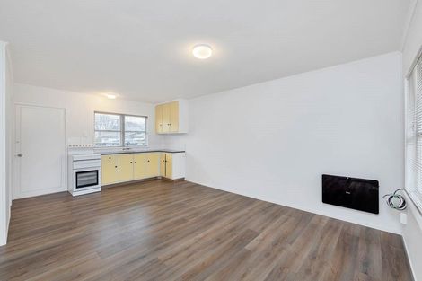 Photo of property in 1/4 Wendell Place, Greenlane, Auckland, 1061