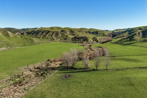 Photo of property in 717 Puketitiri Road, Puketapu, Napier, 4182