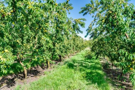 Photo of property in 238 Stock Road, Bridge Pa, Hastings, 4175