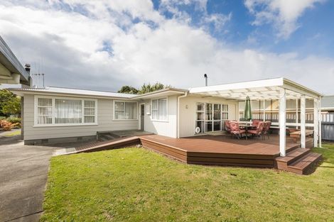 Photo of property in 145 Stanford Street North, Ashhurst, 4810