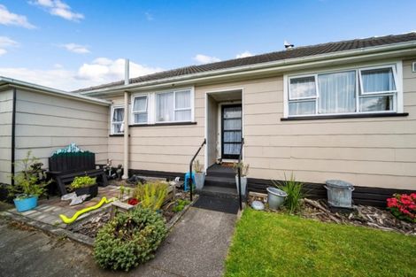 Photo of property in 17 Ajax Street, Stratford, 4332