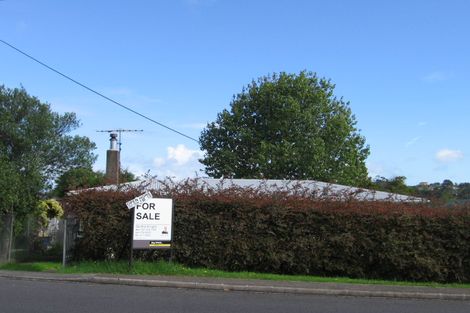 Photo of property in 160 Rathgar Road, Henderson, Auckland, 0610