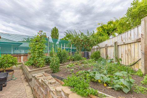 Photo of property in 6 Grey Street, College Estate, Whanganui, 4500