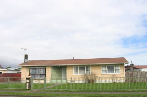 Photo of property in 21 Collingwood Street, Levin, 5510