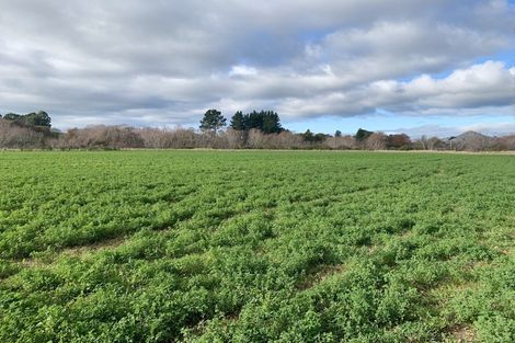 Photo of property in 460 Palmerston-dunback Road, Glenpark, Palmerston, 9483