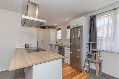 Photo of property in 51 Winchester Street, Levin, 5510