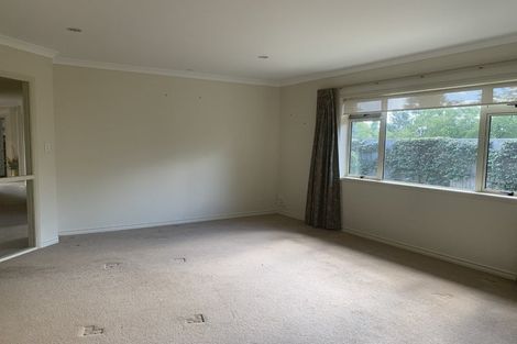 Photo of property in 46 Raukawa Drive, Bethlehem, Tauranga, 3110