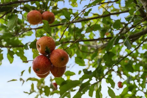 Photo of property in 27c Linton Crescent, Matua, Tauranga, 3110