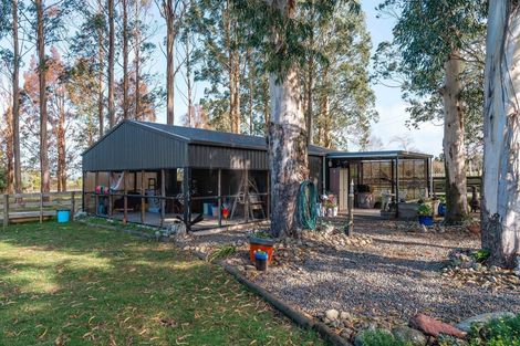 Photo of property in 492 Upper Plain Road, Upper Plain, Masterton, 5888