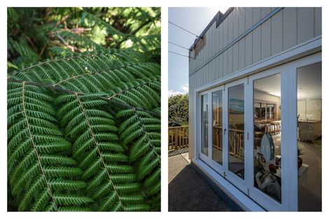 Photo of property in 7 Trotter Avenue, Waiomu, Thames, 3575