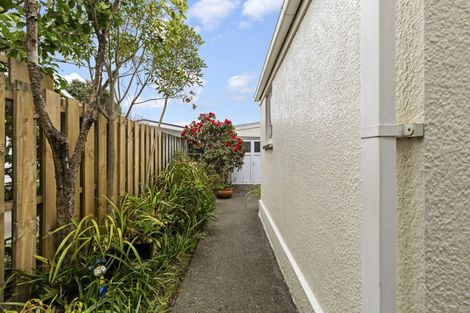 Photo of property in 212 Victoria Avenue, Hokowhitu, Palmerston North, 4410