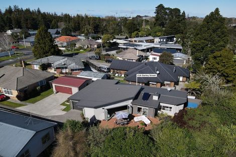 Photo of property in 21a Darley Street, Maeroa, Hamilton, 3200