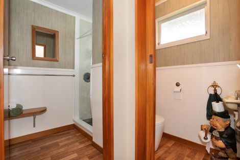 Photo of property in 409 Ruahine Street, Terrace End, Palmerston North, 4410