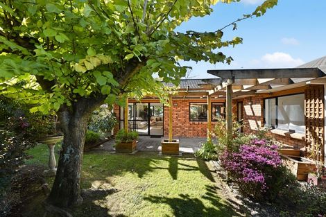 Photo of property in 13 Discovery Drive, Flagstaff, Hamilton, 3210