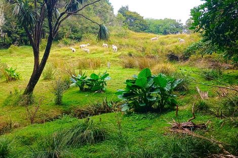 Photo of property in 153 Champion Road, Kaingaroa, Kaitaia, 0482