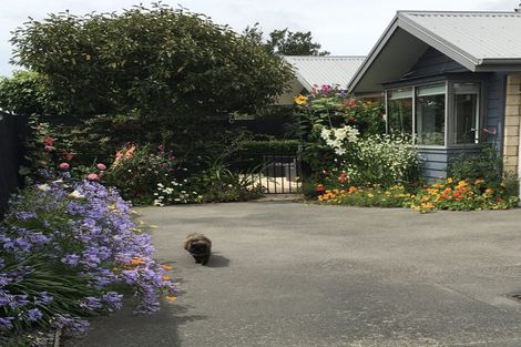 Photo of property in 7c Darroch Street, Belfast, Christchurch, 8051