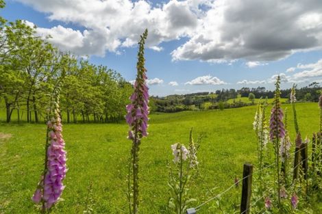 Photo of property in 649f Esdaile Road, Whakamarama, Tauranga, 3180