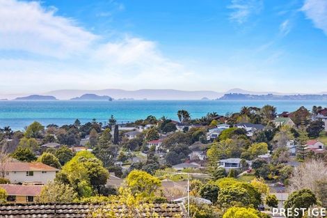 Photo of property in 1/168 Glamorgan Drive, Torbay, Auckland, 0630