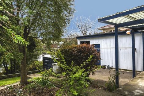 Photo of property in 41 Silverton Street, Andersons Bay, Dunedin, 9013