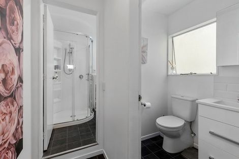 Photo of property in Lexington Apartments, 33c Hania Street, Mount Victoria, Wellington, 6011