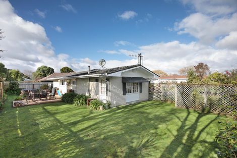 Photo of property in 409 Ruahine Street, Terrace End, Palmerston North, 4410