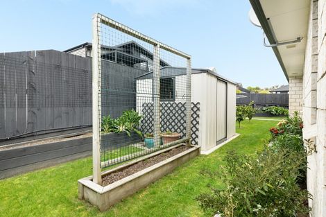 Photo of property in 7 Bernies Way, Ohauiti, Tauranga, 3112