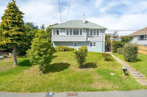 Photo of property in 23 Panmure Avenue, Calton Hill, Dunedin, 9012