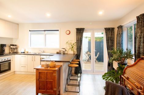 Photo of property in 47 Mathesons Road, Phillipstown, Christchurch, 8011