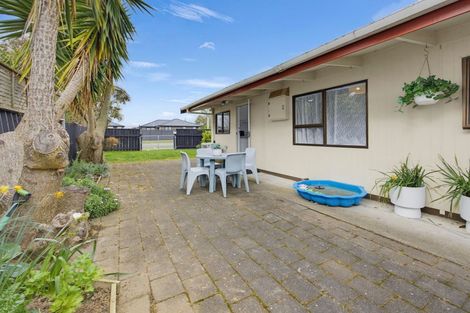 Photo of property in 133 Tiro Tiro Road, Levin, 5510