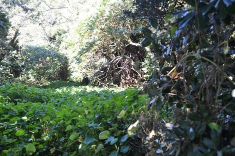 Photo of property in 31 Lawry Street, Blagdon, New Plymouth, 4310