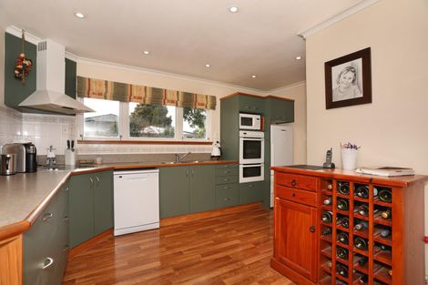 Photo of property in 409 Ruahine Street, Terrace End, Palmerston North, 4410