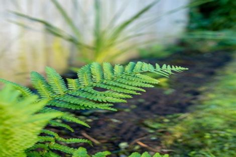 Photo of property in 4/35 Neill Street, Hornby, Christchurch, 8042